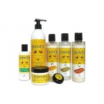 Thentix Ultimate Package - The Entire Thentix Collection